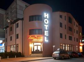 Hotel AmaDeus，位于福克沙尼的酒店