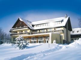 Hotel Haus am Ahorn，位于舍内克的酒店