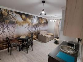 APARTMAN studio DADO，位于乌日策的酒店