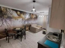 APARTMAN studio DADO