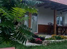 Nektar Park Villa Sara
