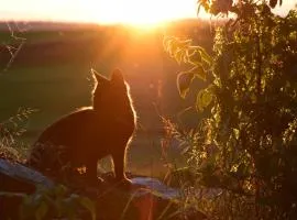 Ferienwohnung Sonnenaufgang