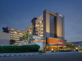 雷迪森棉兰酒店，位于棉兰棉兰博览会广场附近的酒店