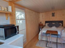 Pretty Studio with a Private Terrace，位于伦敦的酒店