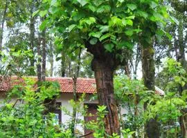 Vastare Homestay and Resort Chikmagalur