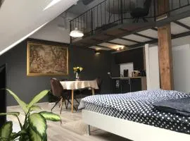 Savoya nr2 Loft Studio Old City Center Self check-in Workspace