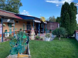 Motel Dilijans，位于维丁的酒店