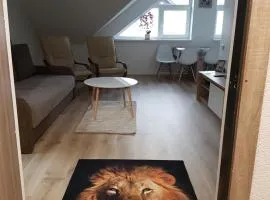 Liūto apartamentai