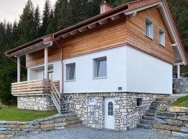 Traumhaus Flattnitz，位于Flattnitz的酒店