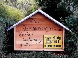 Haus zur Bienenweide，位于舍姆贝格的公寓