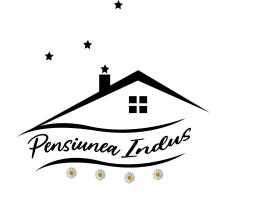 Pensiunea Restaurant Indus，位于锡比乌盐矿镇的酒店
