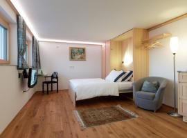 Business Apartment，位于Schwarzach的酒店