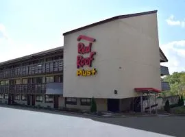 门罗维尔匹兹堡东红屋顶优质酒店