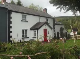 Quarvue Farmhouse, Unique house with views of Mournes and Cooleys