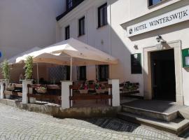 Hotel Winterswijk，位于布劳莫夫的酒店