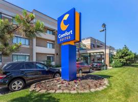 Comfort Suites Oakbrook Terrace near Oakbrook Center，位于奥克布鲁克特莱斯的酒店