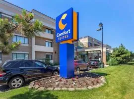 Comfort Suites Oakbrook Terrace near Oakbrook Center