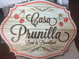 Casa Prunilla，位于萨尔诺的酒店