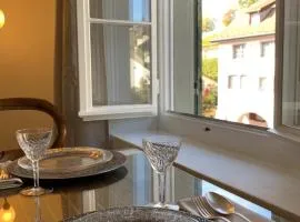 Old Town Charm & Central Location in Rapperswil