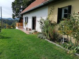 Rural house above the forest，位于Gornja Voća的酒店