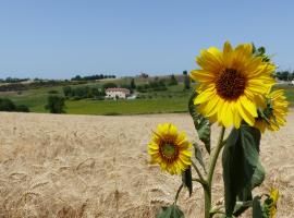 Gites des Camparros，位于Nailloux的住宿加早餐旅馆