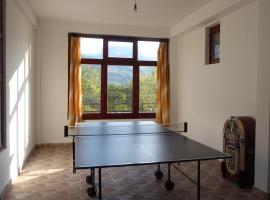 Guest house Pribojska Banja，位于Pribojska Banja的酒店