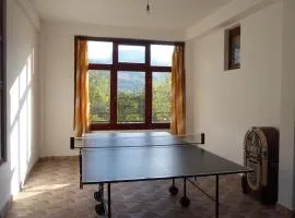 Guest house Pribojska Banja