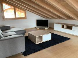 Région de GSTAAD, charmant chalet duplex de 80m2，位于茨韦西门的酒店