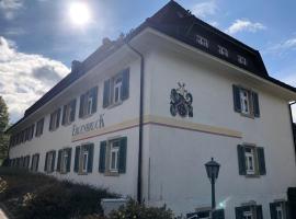 Ferienwohnung Hochschwarzwald，位于欣特察尔滕的酒店