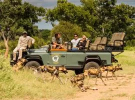 Kambaku Safari Lodge