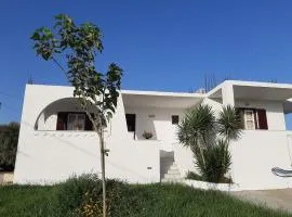 Joanna's Rooms on the Beach