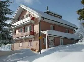 Chalet Bergli