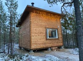 Aurora Husky Hut，位于伊纳利的木屋