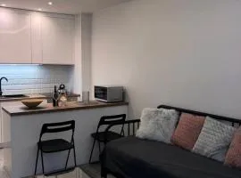Downtown Apartment
