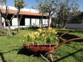 CASA RURAL LIMÓN Y SOL