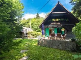 Vila Fani, Kostel - vacation house Pr' Vili Fani