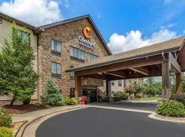 Comfort Inn & Suites Blue Ridge
