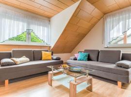 Geräumige Wohnung mit Grill，位于Marktrodach的酒店