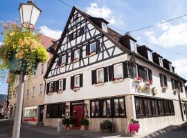 Hotel - Restaurant Traube，位于Neuffen的酒店