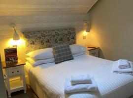 北斗星酒店，位于阿尼克的酒店