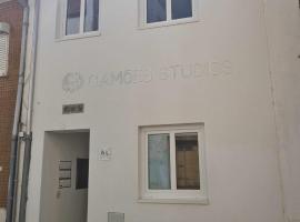 Camoes StudioGeral，位于布拉干萨的公寓