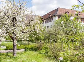 Kloster Dornach / Basel，位于多尔纳赫的低价酒店