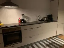 Apartment 15 min walk from the city center