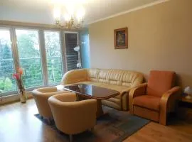 Apartament Familijny Beskidzki