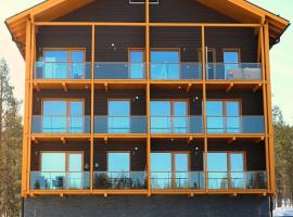 Tunturinlaita D6，位于列维Peak Lapland Viewing Deck附近的酒店