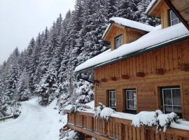 Chalet Steiermark，位于Pusterwald的酒店