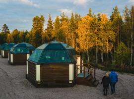 Arctic SnowHotel & Glass Igloos，位于希内塔的酒店