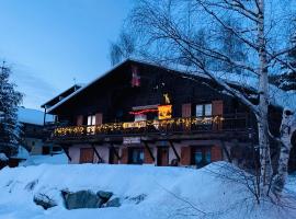 APPARTEMENT PLEIN SUD AUX SAISIES n3，位于雷塞兹科克滑雪缆车附近的酒店