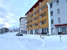 Enjoy Ylläs - Cozy top floor apartment，位于易拉斯加威乔克里2号滑雪缆车附近的酒店