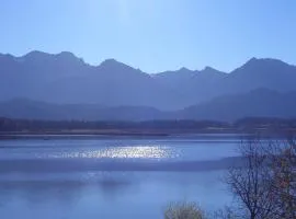 霍普芬湖畔古格莫斯公寓